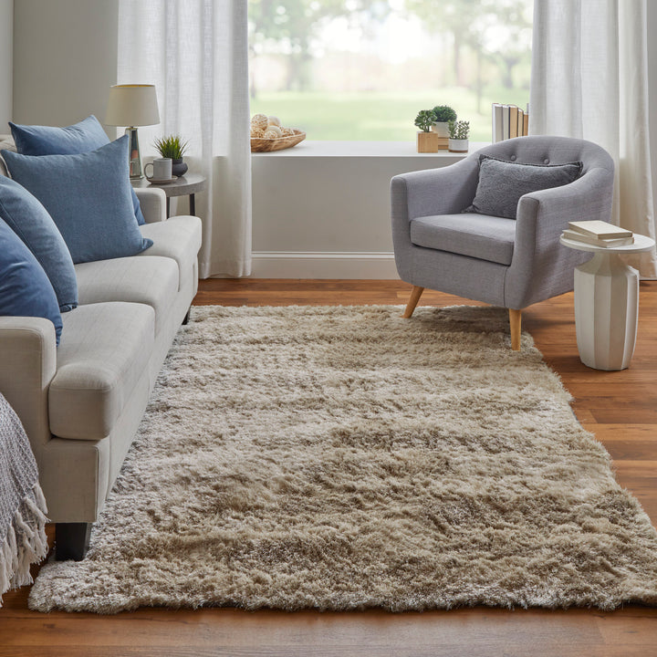 4550F Feizy Rugs Indochine