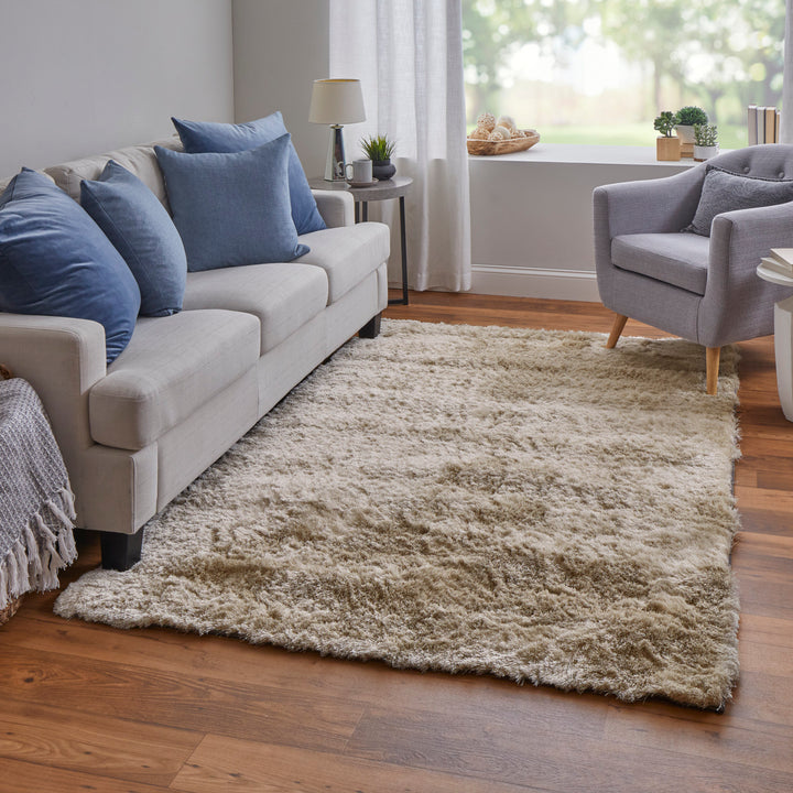 4550F Feizy Rugs Indochine