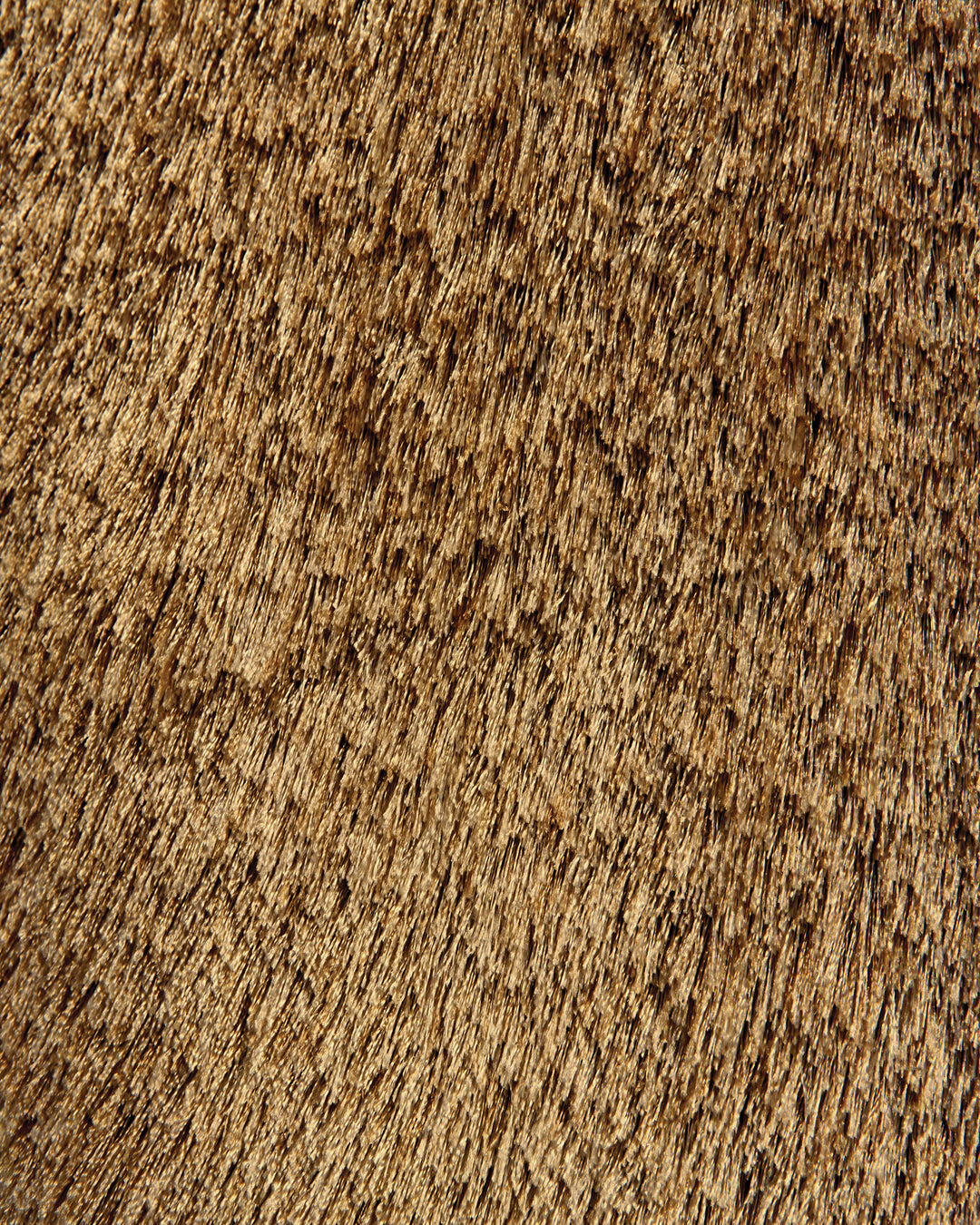 4550F Feizy Rugs Indochine
