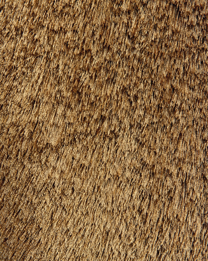 4550F Feizy Rugs Indochine