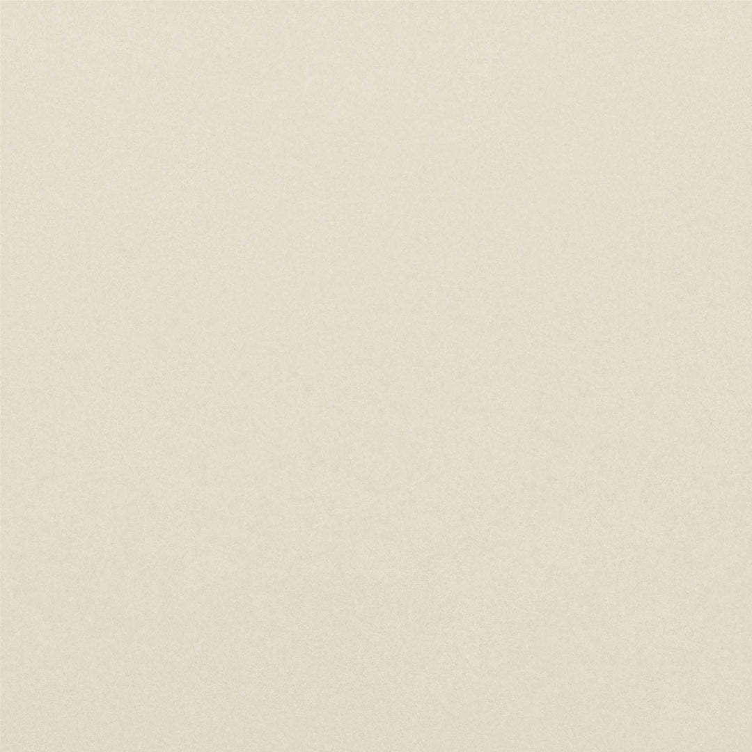 Zuo Coral Reef Accent Chair Gray
